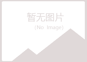 安阳文峰夜山采矿有限公司